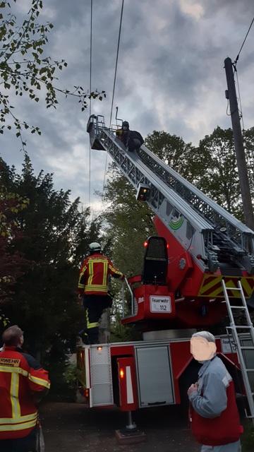 20210505_202725 bearbeitet groß.jpg